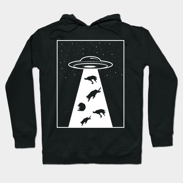 UFO Cat Hoodie by Monosshop